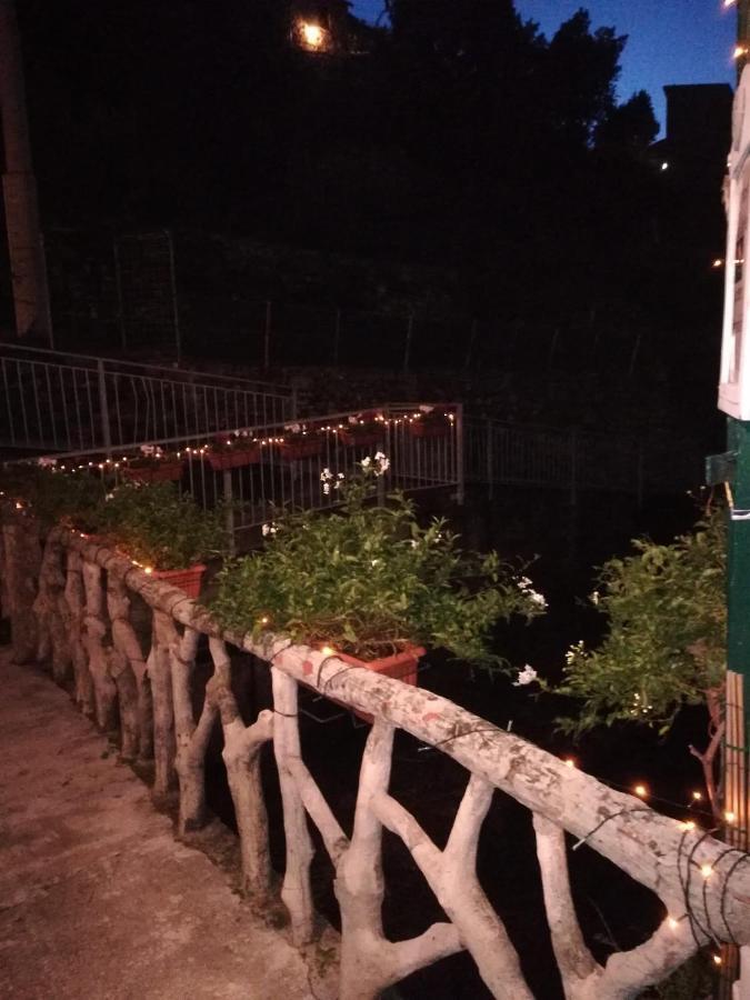 Posidonia Cinque Terre Guesthouse Manarola Bagian luar foto